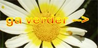 Website met vele bloemen en planten op Kreta