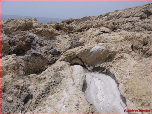 longbeach in koutsounari