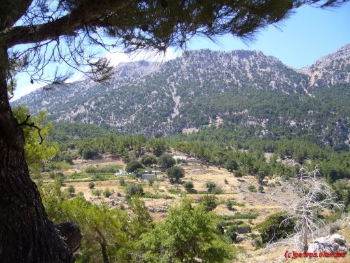 Het Selakano plateau
