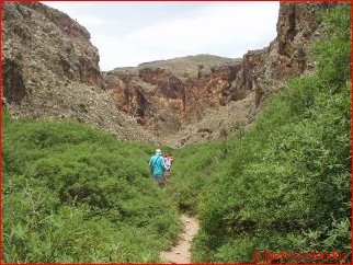 dodenvallei_zakros _jungle